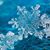 Holly Lemonis's profile image