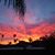 Allison Fehr Linnell's profile image