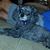 Deon N Mona Forker's profile image