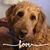 Becky LaFrenz-Oswald's profile image