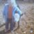 Brett Ann Terrell's profile image
