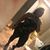 Toya Lyfestylefitness Robertson's profile image