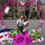 Carla Shultz's profile image