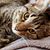 Cheryl Bandt Moudy's profile image