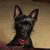 Tami Freaney's profile image