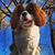 Jenny DeWilde's profile image