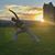 Greta Bruzas's profile image