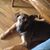 Dixie Grace Sparks's profile image