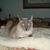 Cathy Freilich's profile image