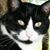 Terri Hill Rhoades's profile image