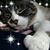 Maria Guarino's profile image
