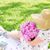 Sandra Cristal's profile image