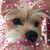 Annmarie Lohmann-Kreischer's profile image