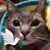 Melinda Tachiki's profile image