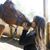 Brianna Alvarado's profile image