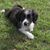 Richard Youell's profile image