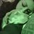 Shaynna Lynne's profile image