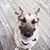 Torry Mendoza's profile image