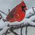 Mary Thom Masiakowski's profile image