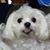 Michelle Mahler's profile image