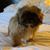 Steven Hower's profile image