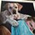 Suzanne Thoelke Roop's profile image
