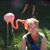 Amy Hansen's profile image