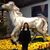 Estelita Corpuz Ayo's profile image