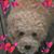 Darryl Myers's profile image