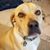 Marilee Polidoro's profile image