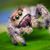 Ann L. Lowenstein's profile image
