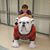 Marla Evans Shirley's profile image