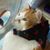 Bonita Wheat's profile image