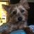 Karen Mudry's profile image