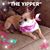 Becky Bell's profile image
