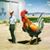 Rooster RA's profile image