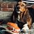 Sue Demers's profile image