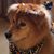 Liz Sedei Hays's profile image