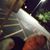Amanda Mcglade's profile image