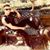 Ryan Waddell's profile image