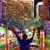 Henry Esteban Rodriguez Medina's profile image