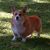 Vinny Mapes's profile image