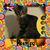 Katie Jo Dreifurst's profile image