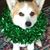 Kathy Schell's profile image
