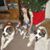 Terri Sasek Cunningham's profile image