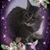 Danka Danuta's profile image