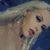 Courtney Bargerstock's profile image