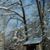 Linda Thompson's profile image