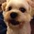 Mac Smith's profile image