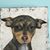 Linda Snead's profile image